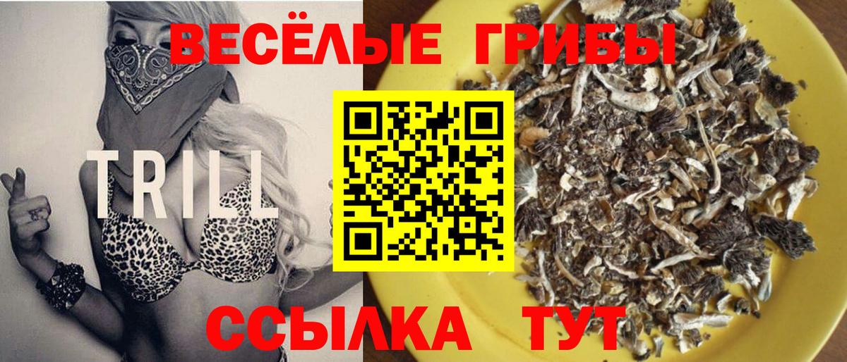 Галлюциногенные грибы мухоморы Минеральные Воды