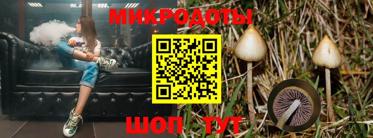 Псилоцибиновые грибы Psilocybe  Вход с VPN  купить  цена  Минеральные Воды 