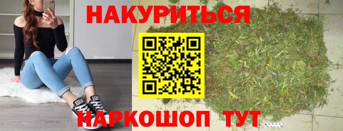 Канабис сатива Минеральные Воды